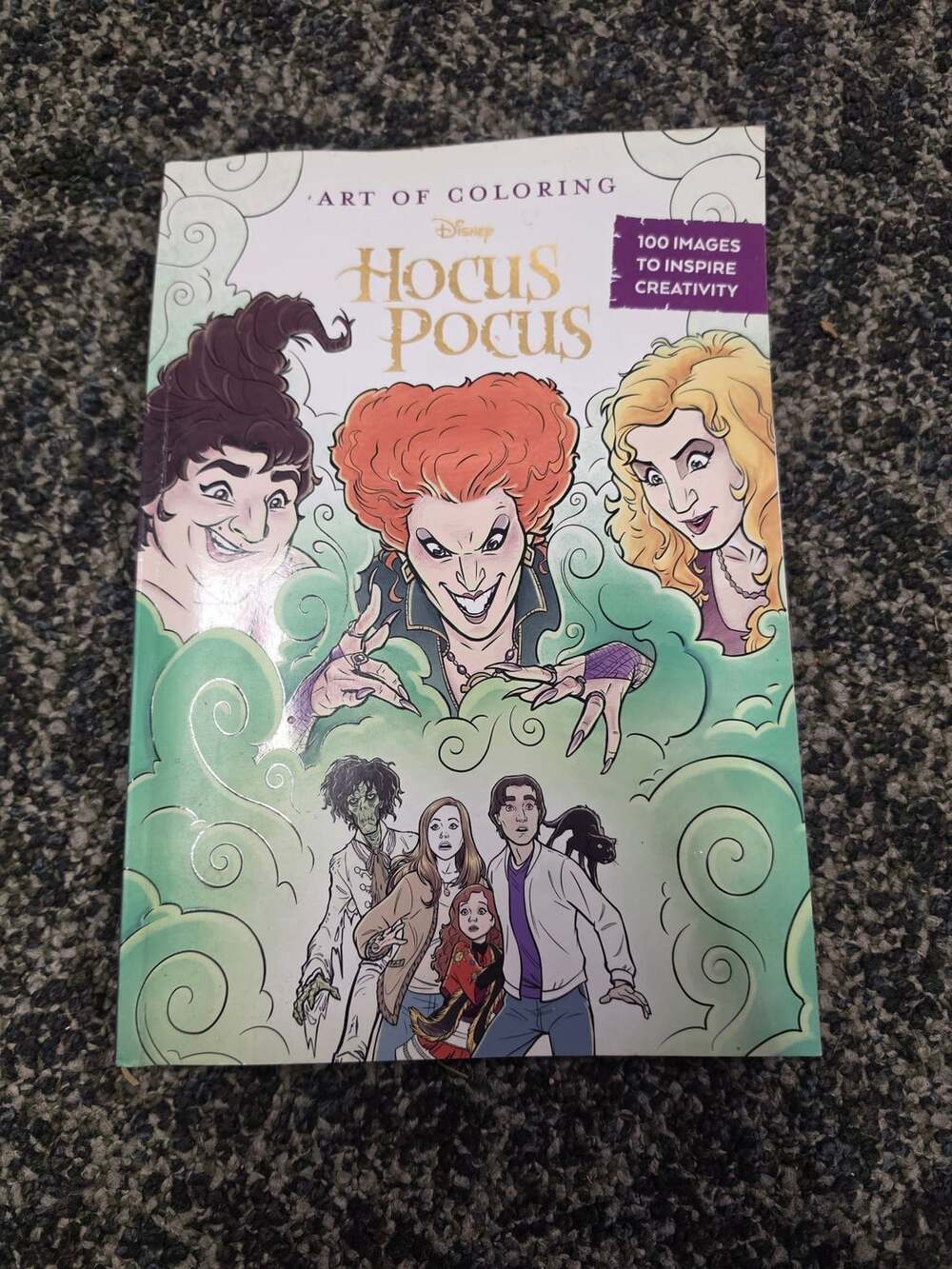 Disney Art Of Coloring Hocus Pocus Adult Coloring Book